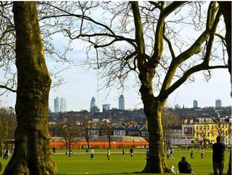 Victorian Beauty With Private Toilet And Shower Near Tube Station Apartment *